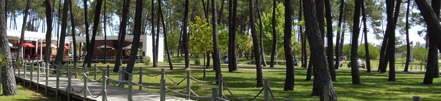 Restaurante/Bar do Parque São Lourenço 