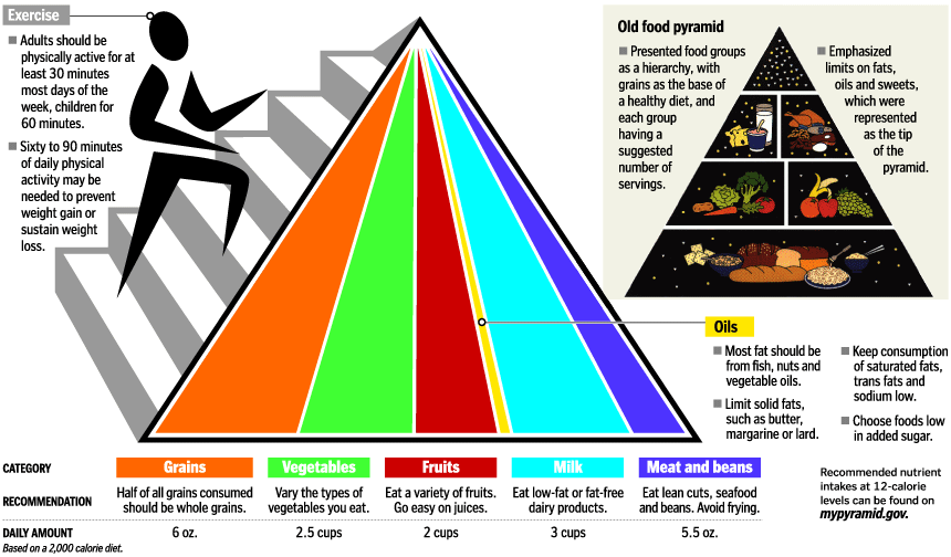 food pyramid pictures of food. blank food pyramid template