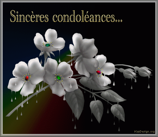 Afficher l'image d'origine