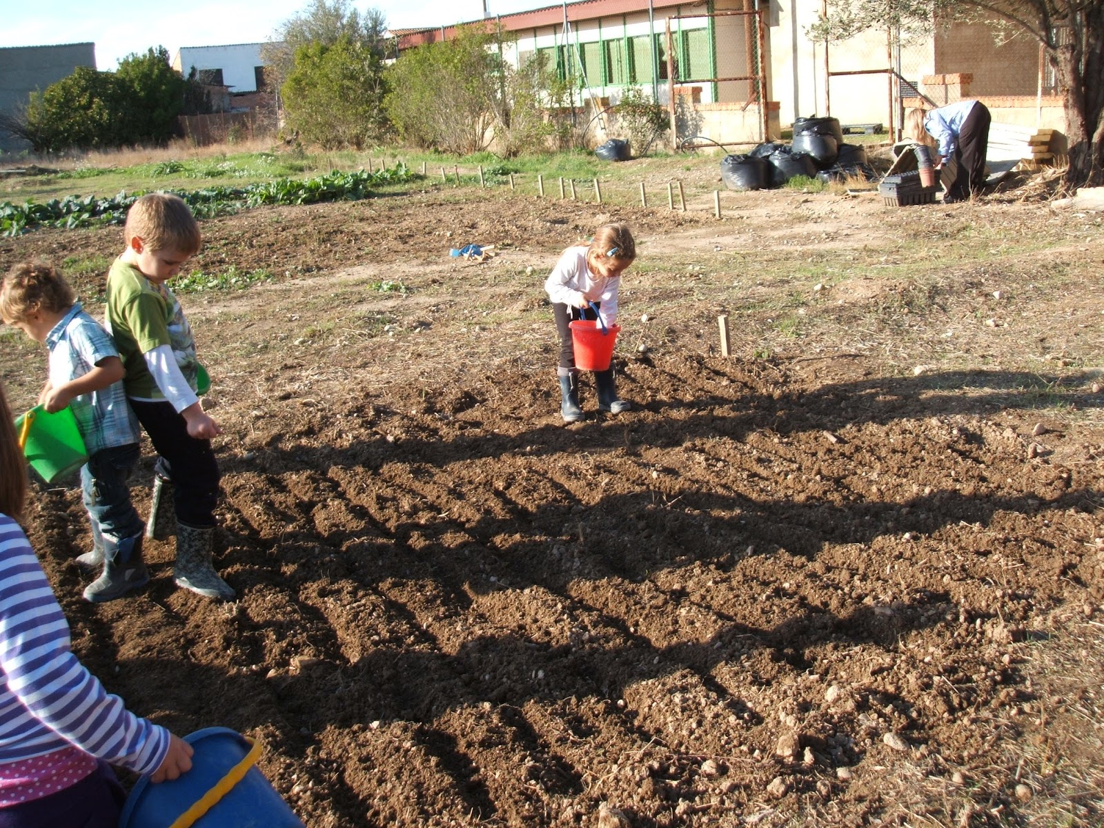 C. E. I. P. Peñaflor de Gállego (antiguo CEIP Florencio Jardiel