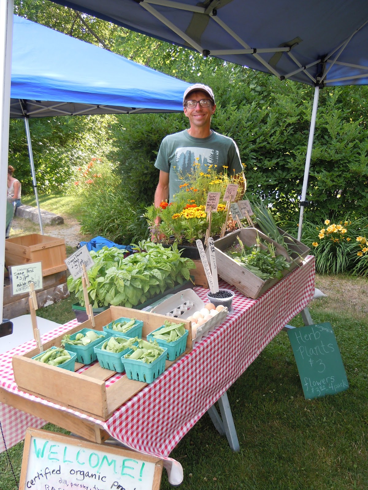 Dandelioness Herbals Plainfield Farmers' Market 2012 Season!