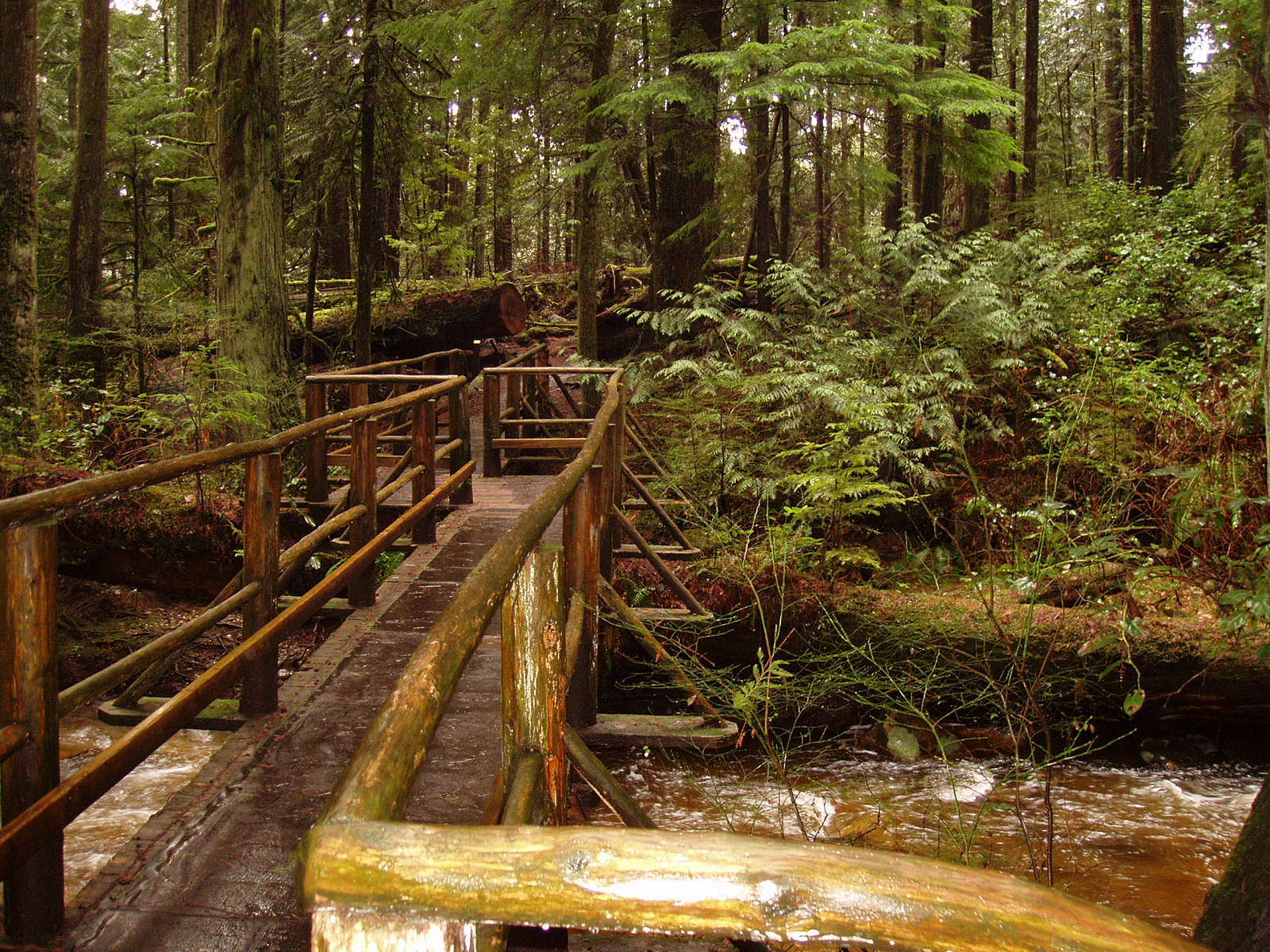 GO LOCAL An Inside View of Life on the Coast Community Guide Roberts