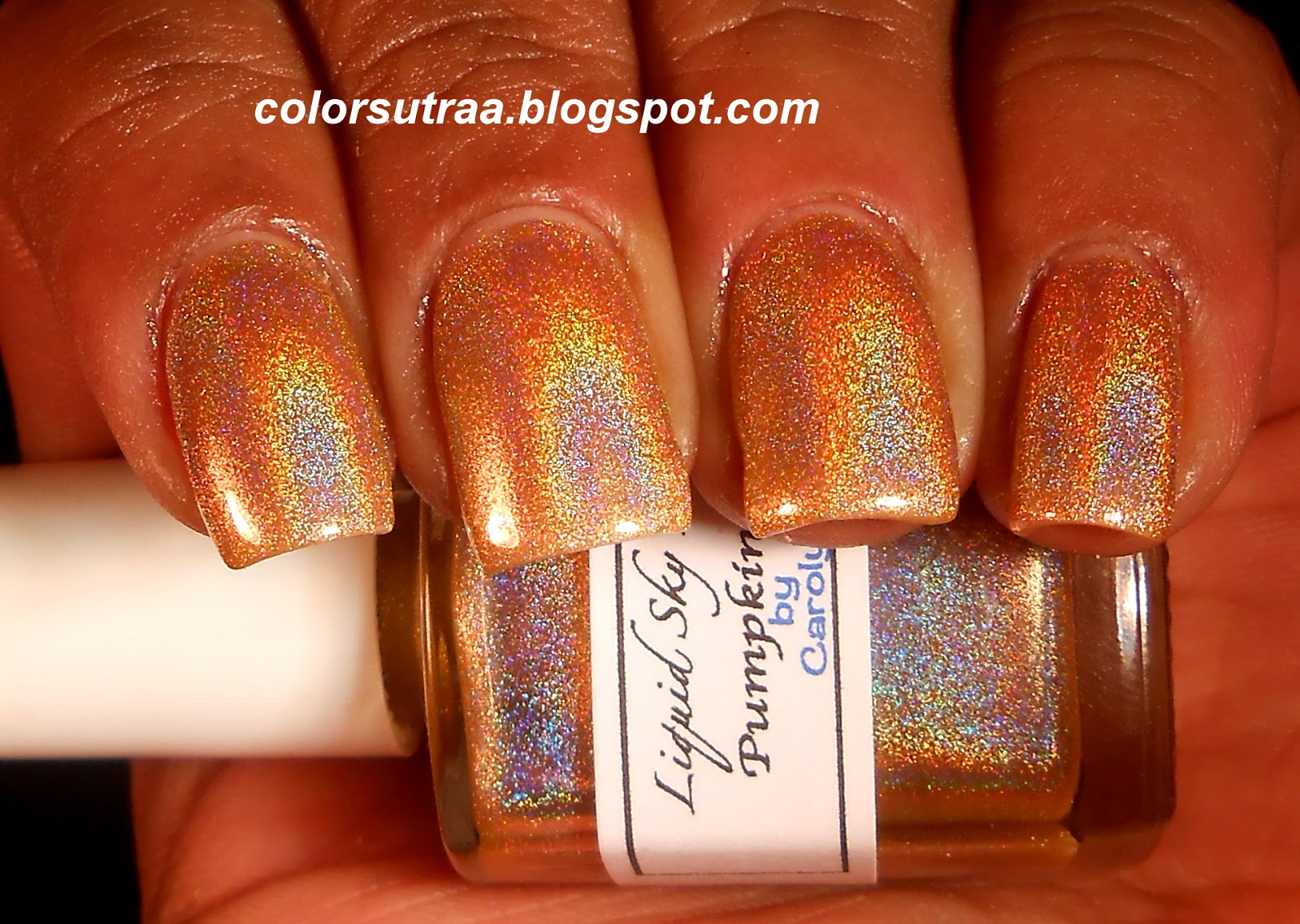 Liquid Sky Lacquer Fall Collection Review and Swatches ColorSutraa