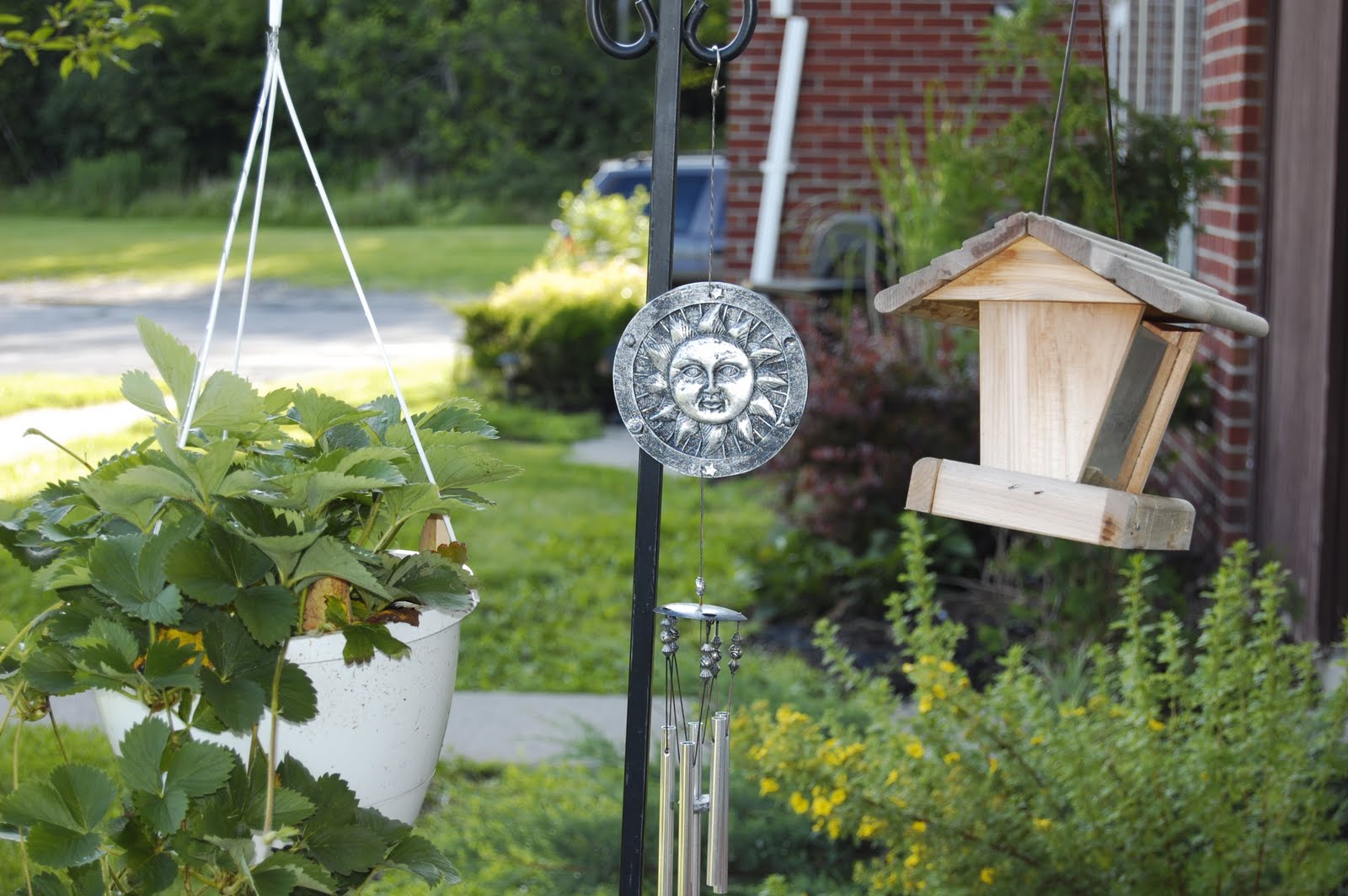 Kat's Book of Shadows Planting an Elemental Garden