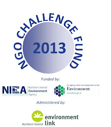 NGO CHALLENGE FUND 2013