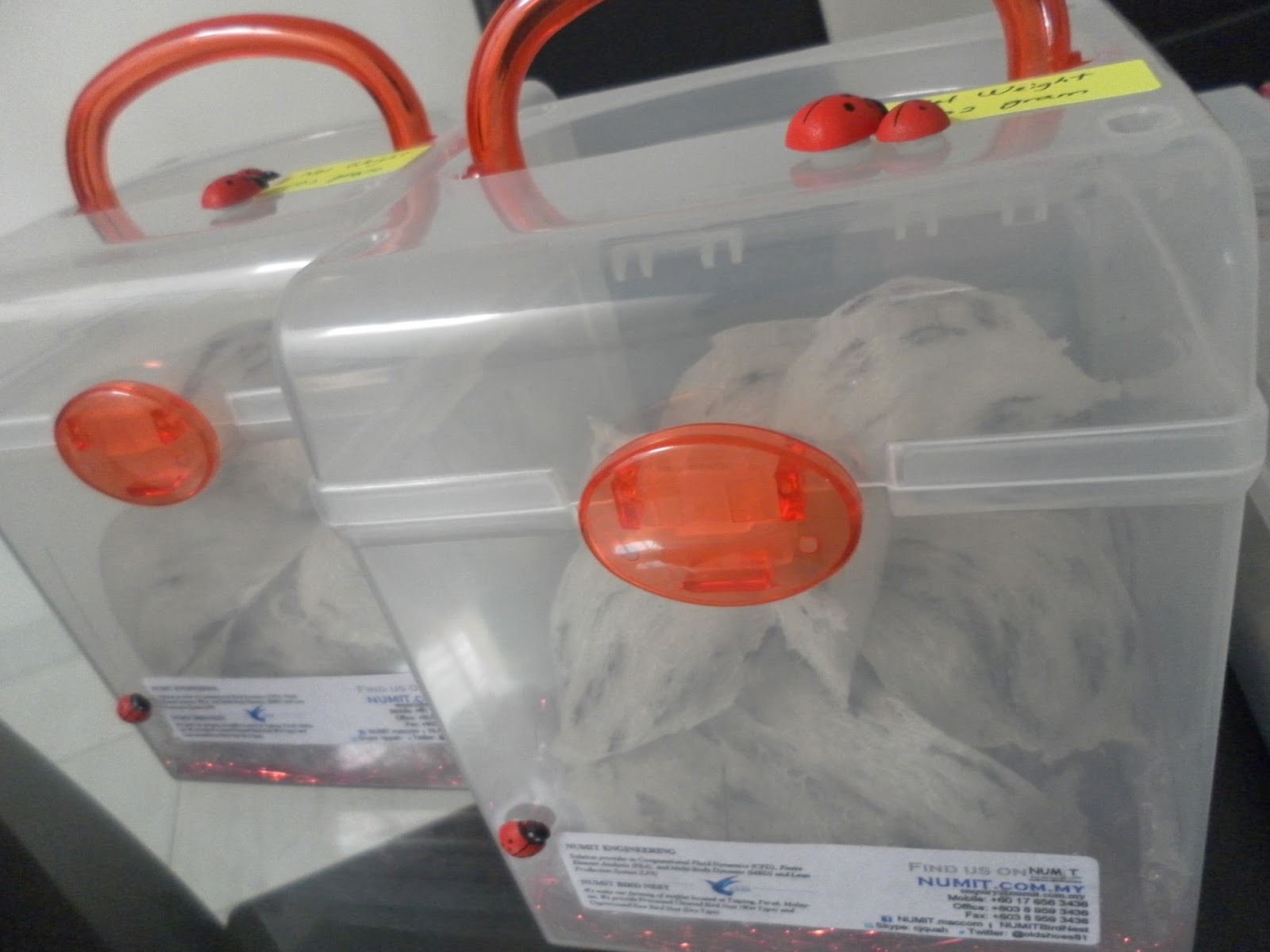 NUMIT Bird Nest 浓密燕窝 BIRD's NEST ORIGINATED FROM TAIPING, MALAYSIA