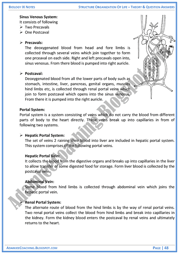 structural-organization-of-life-theory-notes-and-question-answers-biology-notes-for-class-9th