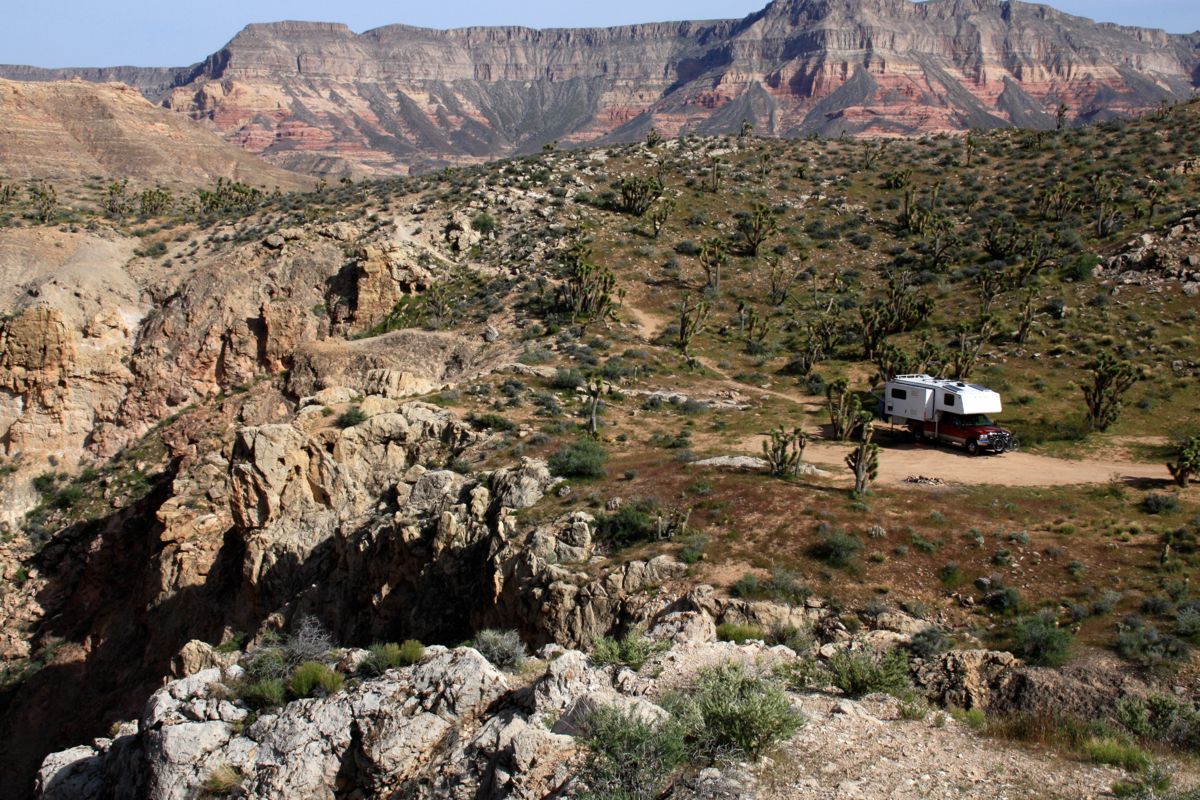 OutinDeWoods Dispersed Camping BLM, National Forests