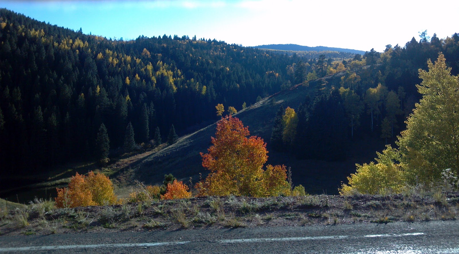 San Isabel Fall 2012 Photo Tour (Aspen, Colorado City homes, live