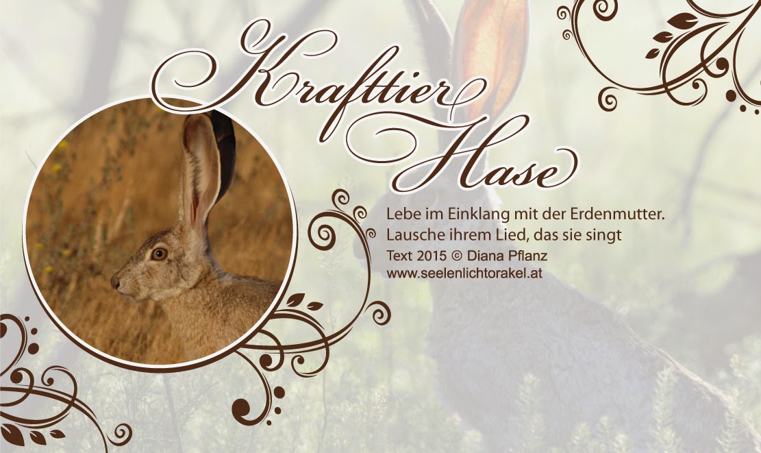 Verstand Emotion Und Korper Das Neu Entdeckte Gehirn Des Menschen