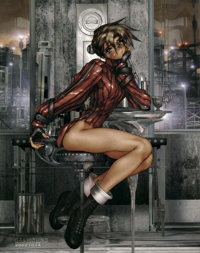 shirow poster books