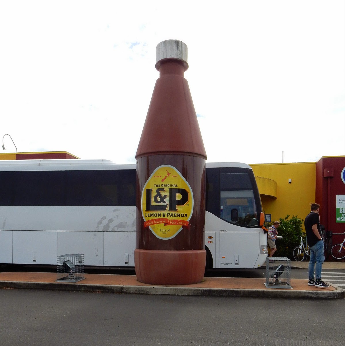 Lemon and Paeroa; the story of a famous New Zealand soft drink (well