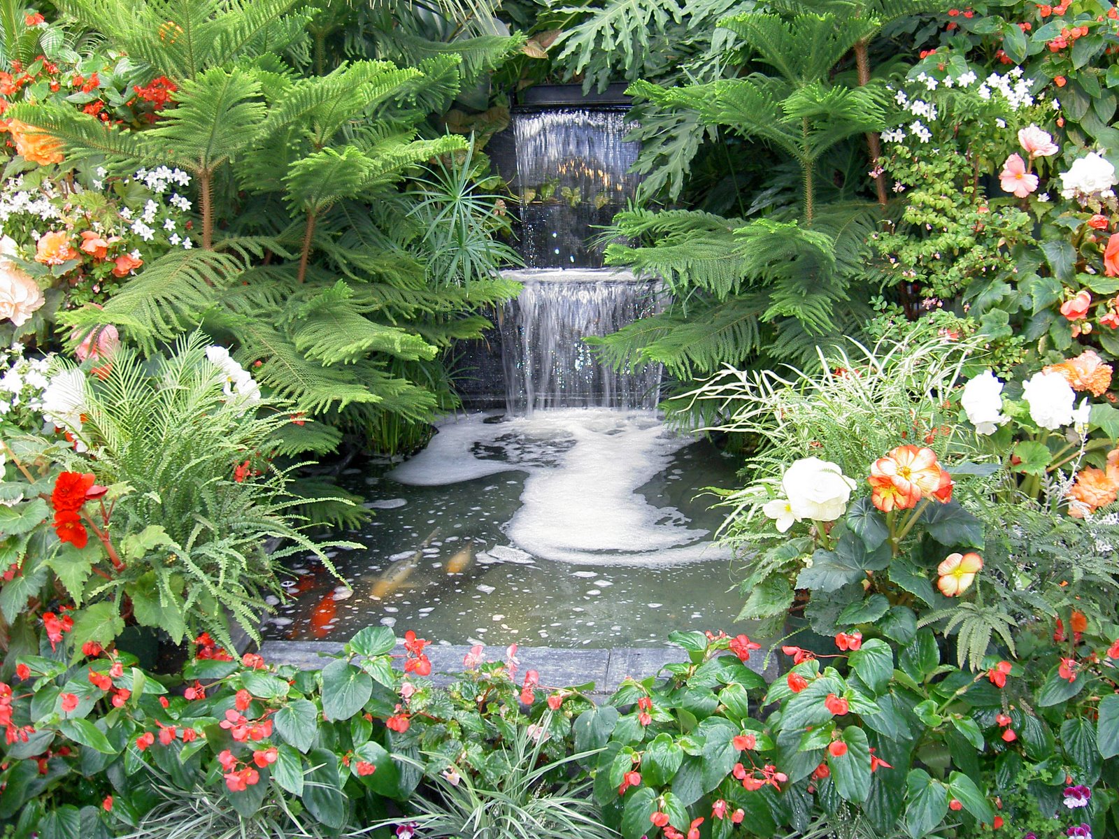 KOLAM IKAN HIASAN: February 2011