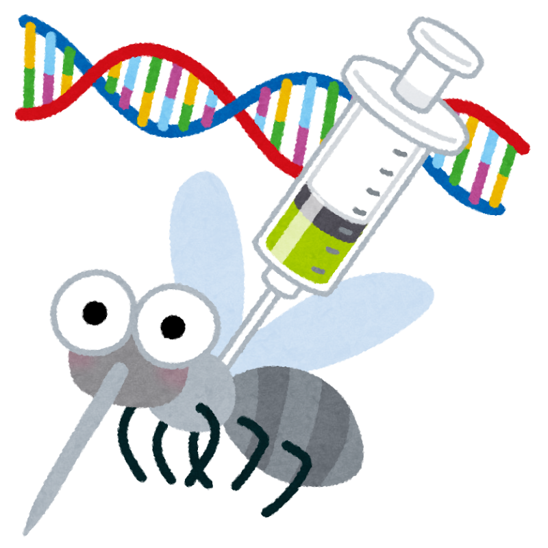 無料イラスト かわいいフリー素材集 遺伝子組み換えされた蚊のイラスト