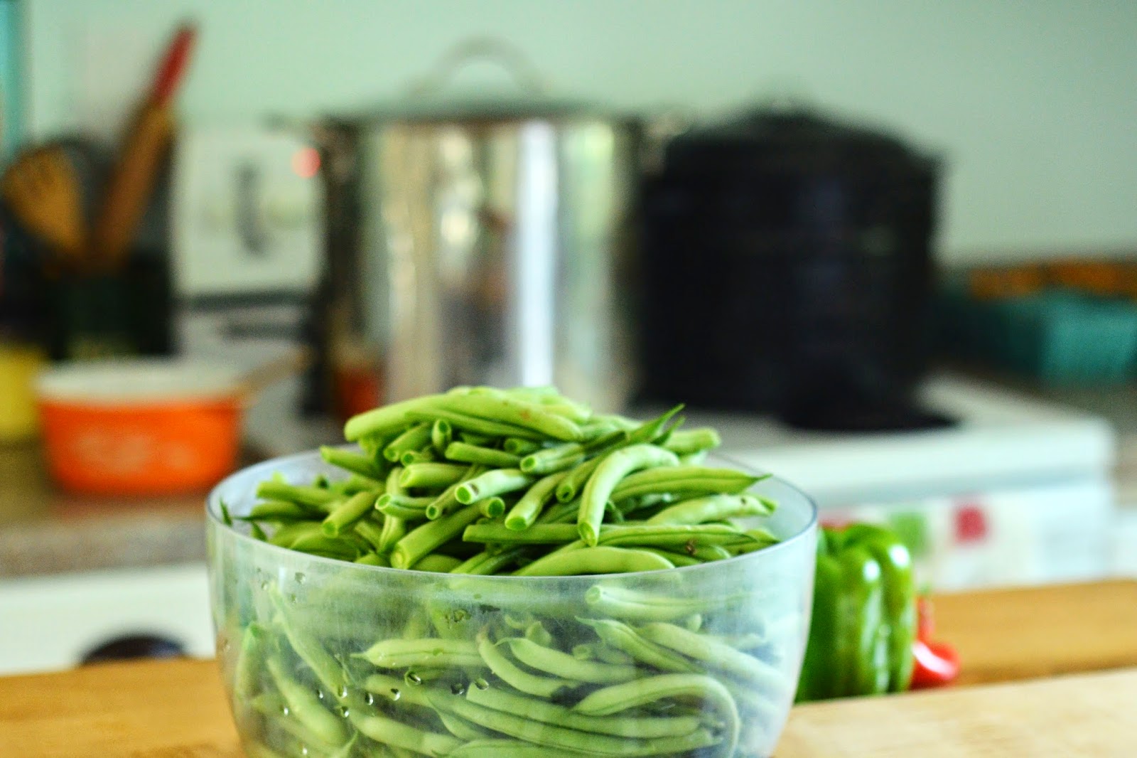 natalie creates water bath canning dilly beans recipe