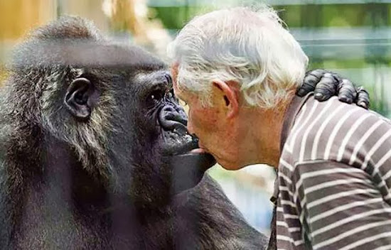 When Humans and Animals Get Along