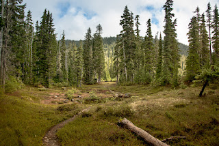 Approaching Arnica  Lake, Hiking to Mount Phillips Vancouver Island
