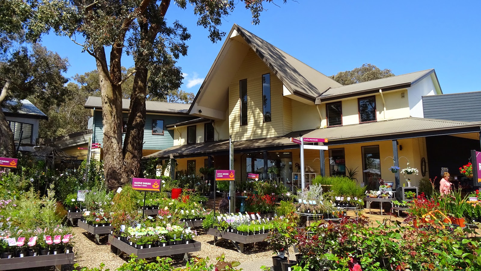 MAP AT RIVERS NURSERY