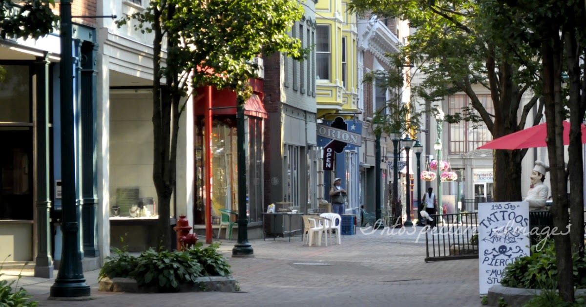 Leaning Tree Photography Schenectady (Jay Street)
