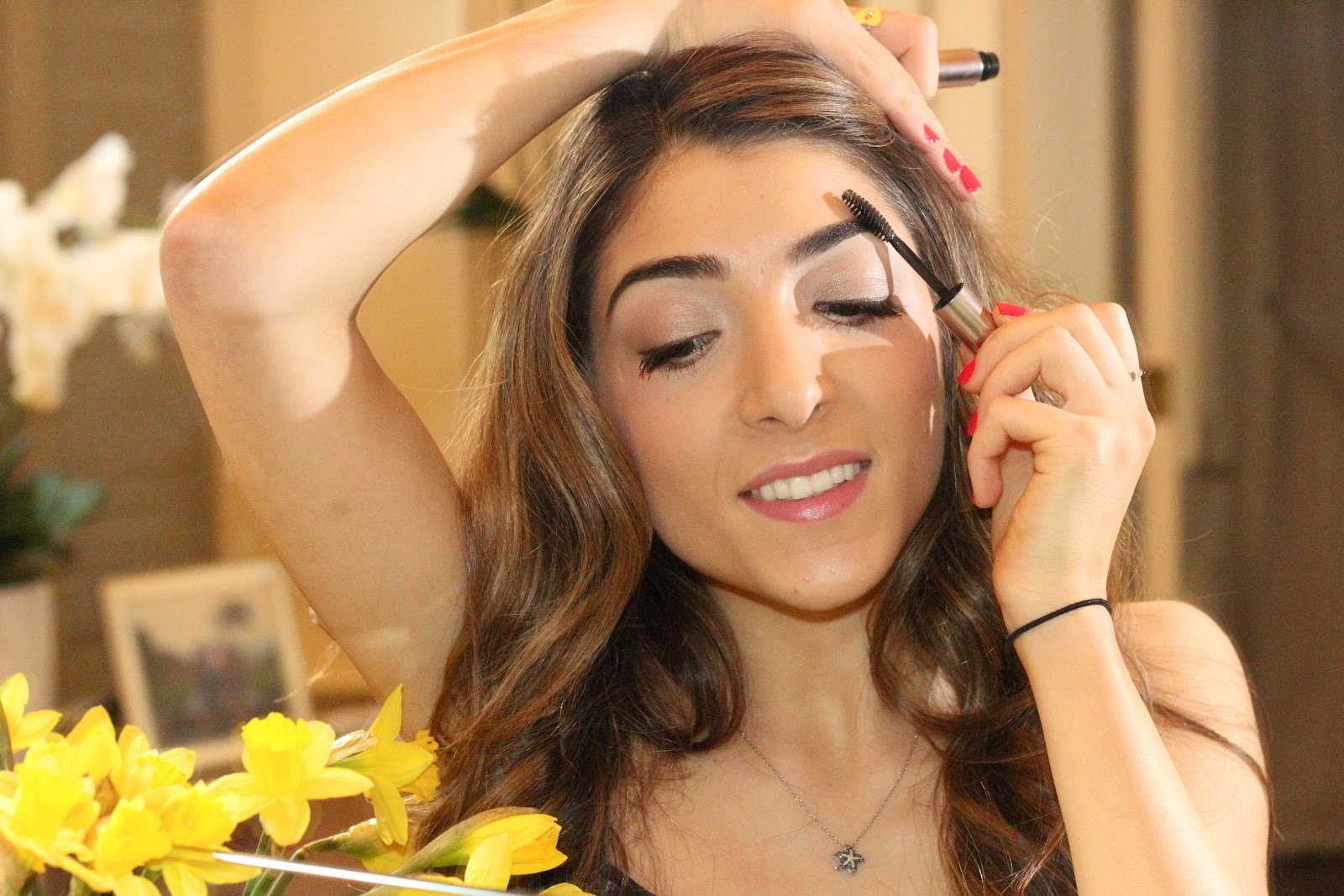 Anastasia Beverly Hills Brow Gel Beauty and Cosmetic Information