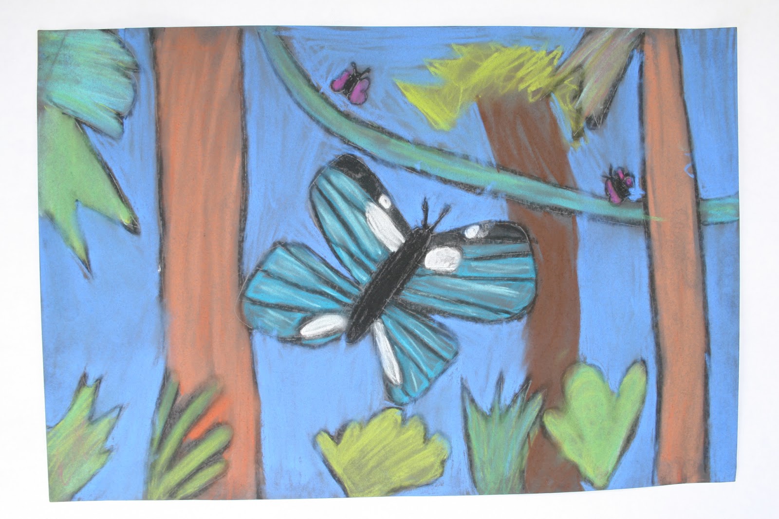 Salem Hyde Artroom : Grade 5 - Animals of the Tropical Rain Forest