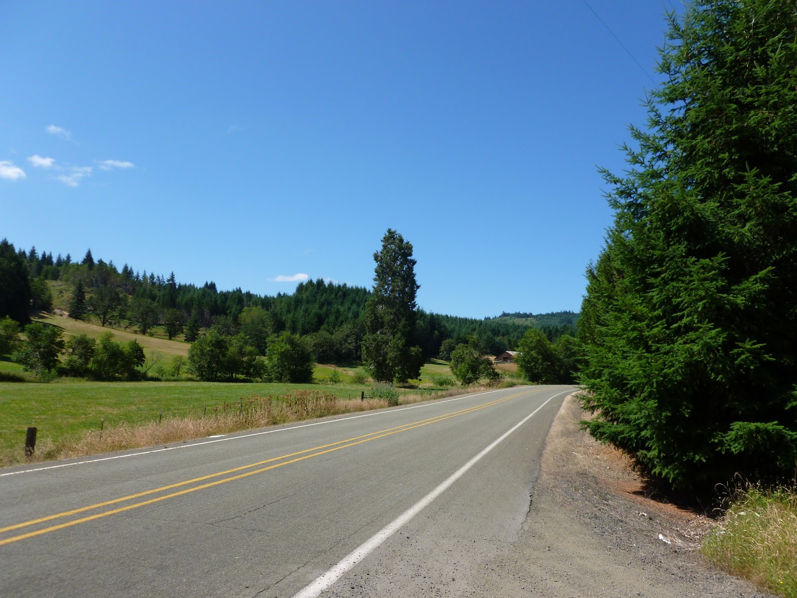 The Adventures of Big Bummed Girl and her Bike Biking near Yoncalla