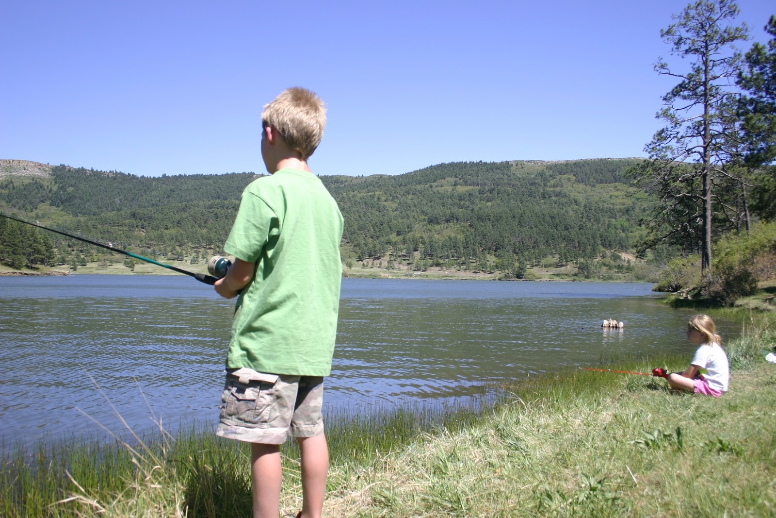 Field And Stream Fishing For Mac Field And Stream Fishing For Mac