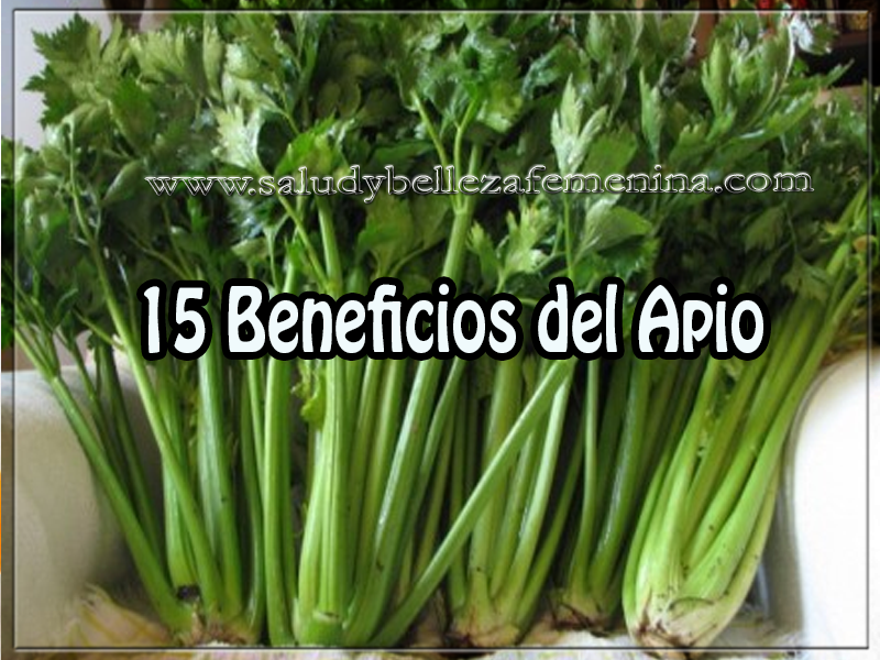 15 Beneficios del Apio Salud y bienestar, 15 beneficios del apio