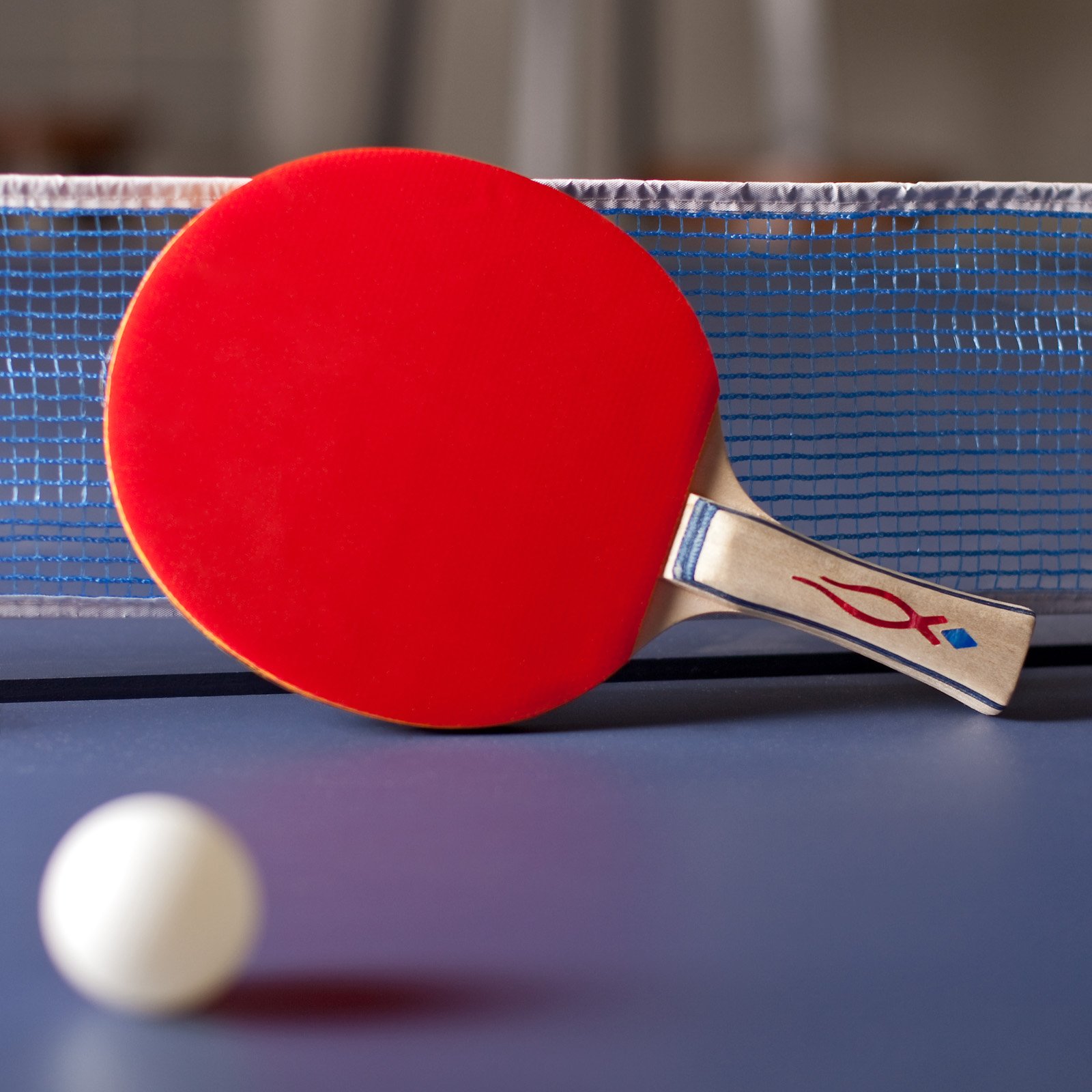 Table Tennis Bug Tamil Nadu State Ranking Table Tennis tournament at
