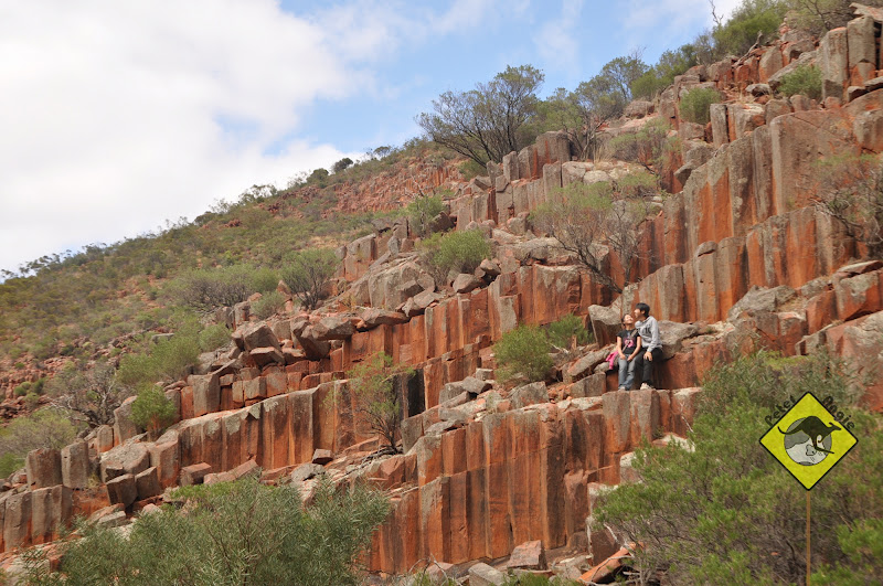 P&A GoGoGo Gawler Ranges National Park