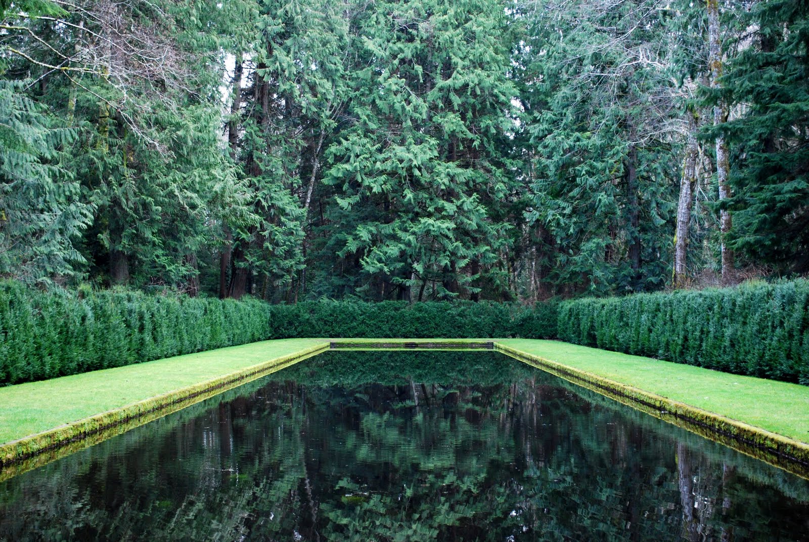 The Intercontinental Gardener Bloedel Reserve, revisited