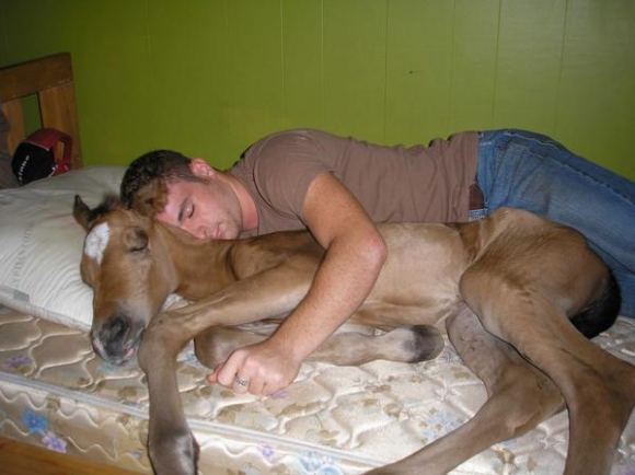 Sleeping-with-Horse-456.jpg