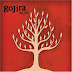 Gojira - Hellfest - 23/06/2013
