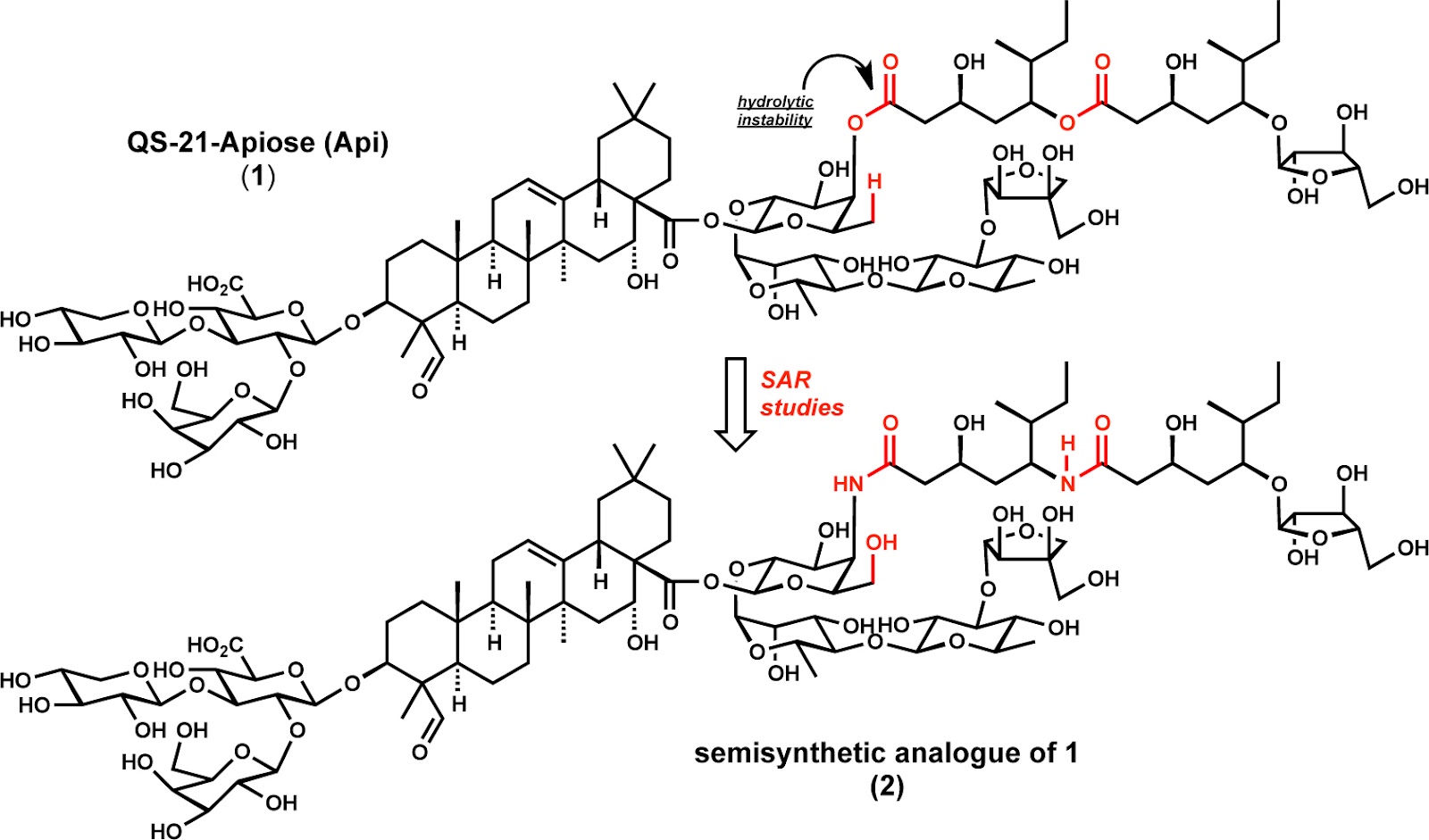 modern steroid science David Gin's Synthesis of the Investigational