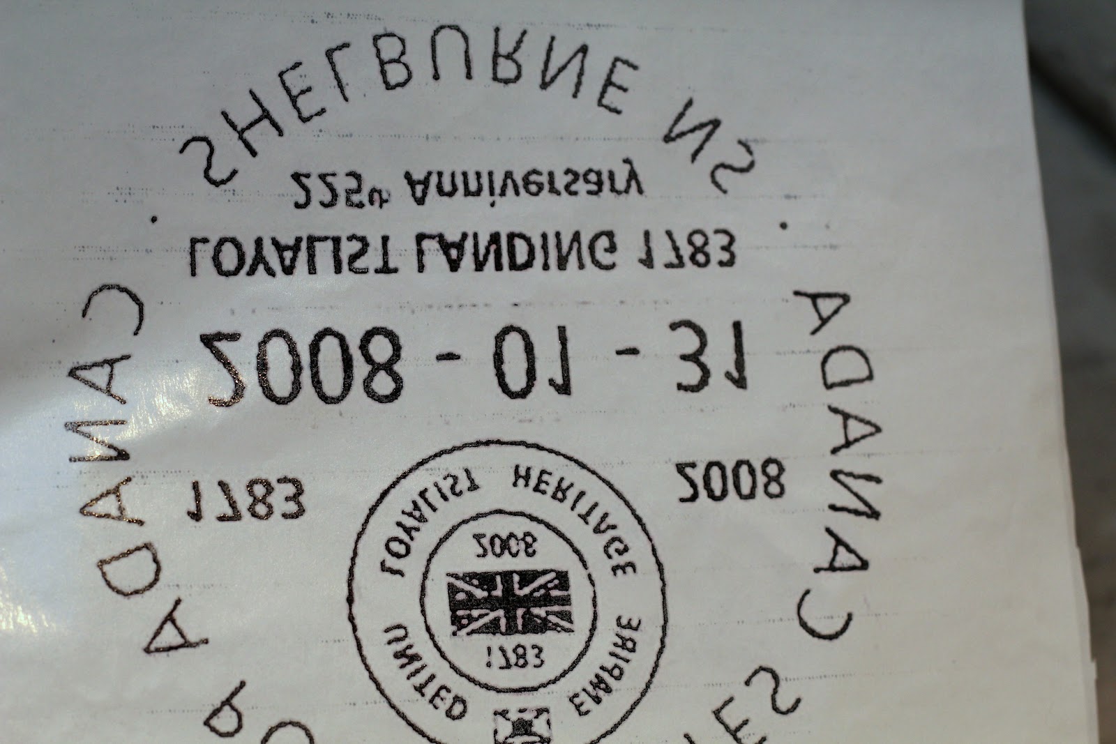 Turtles and Tails Freezer Paper Transfer