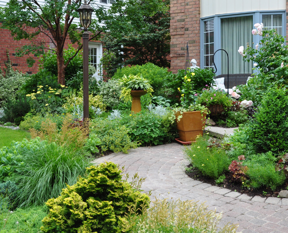 Three Dogs in a Garden: A School Teacher's Pretty Front Garden