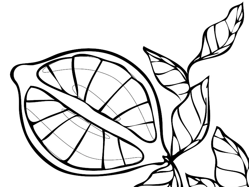 Lemons Fruit Coloring Pages To Kids title=