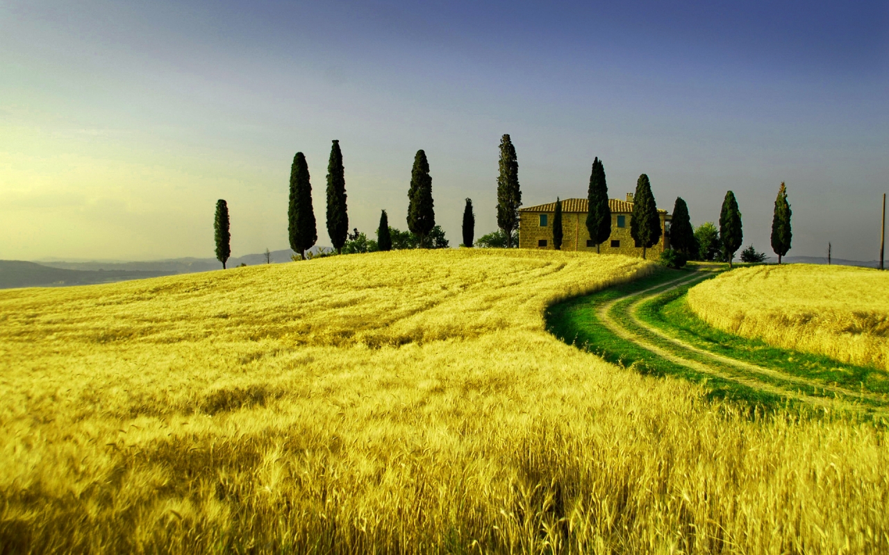 Tours of Tuscany