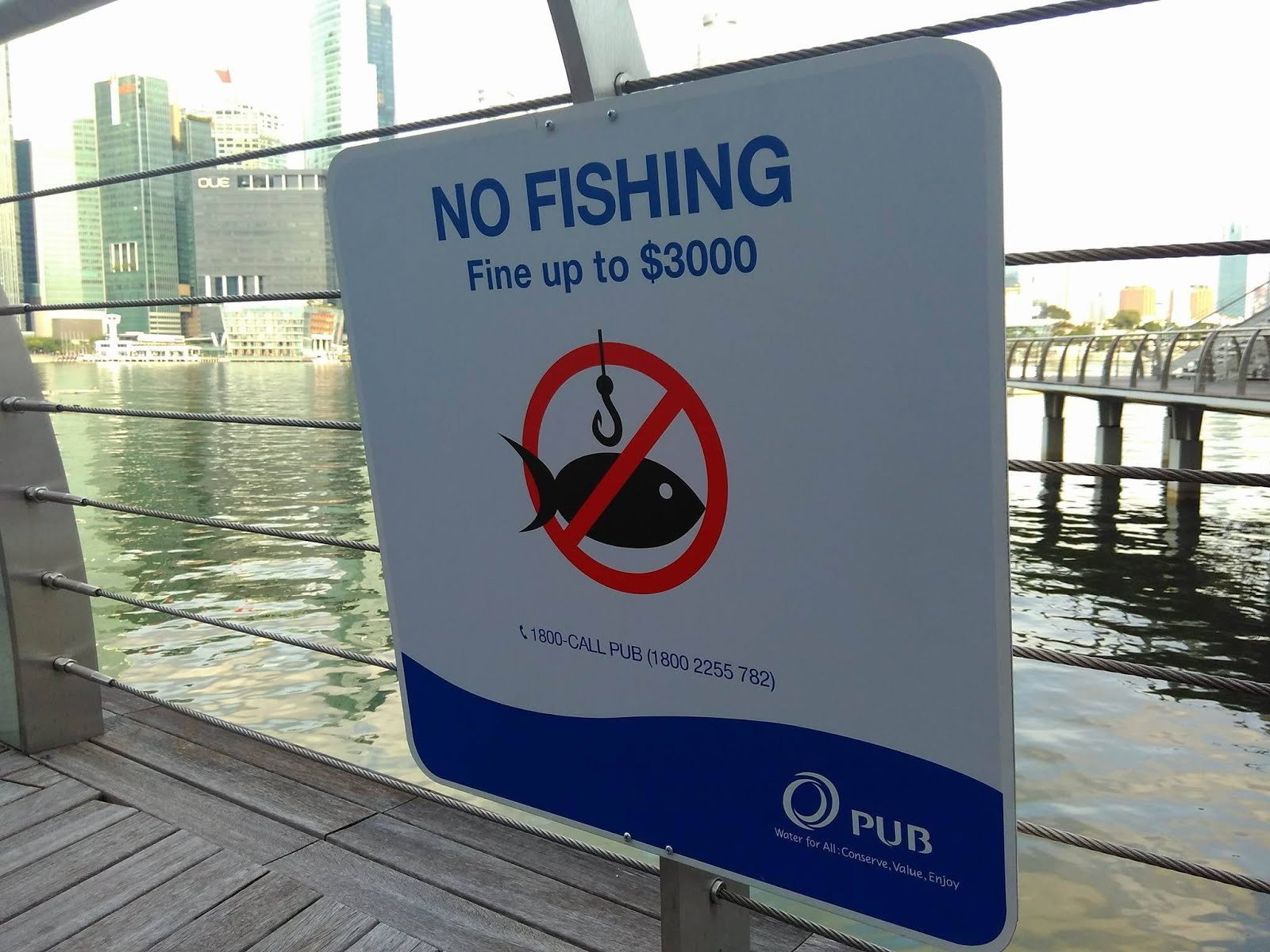 Jenius: Fine Fishing (Unfortunately, not about finesse fishing)