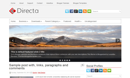 Business Solutions Blogger Template