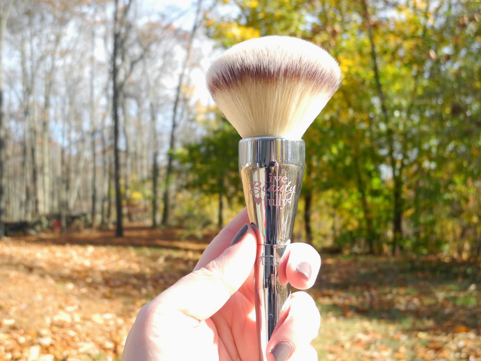Shimmering Image IT Cosmetics Brushes for ULTA Review