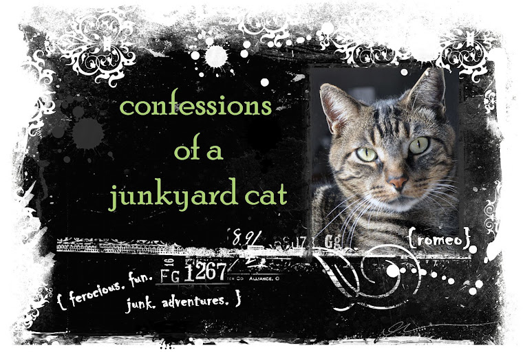 Confessions of a Junkyard Cat