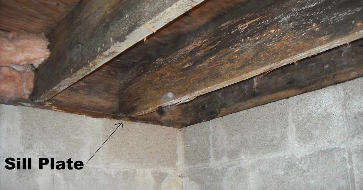 Indiana Crawlspace Repair and Waterproofing Sill Plate Repair Indiana