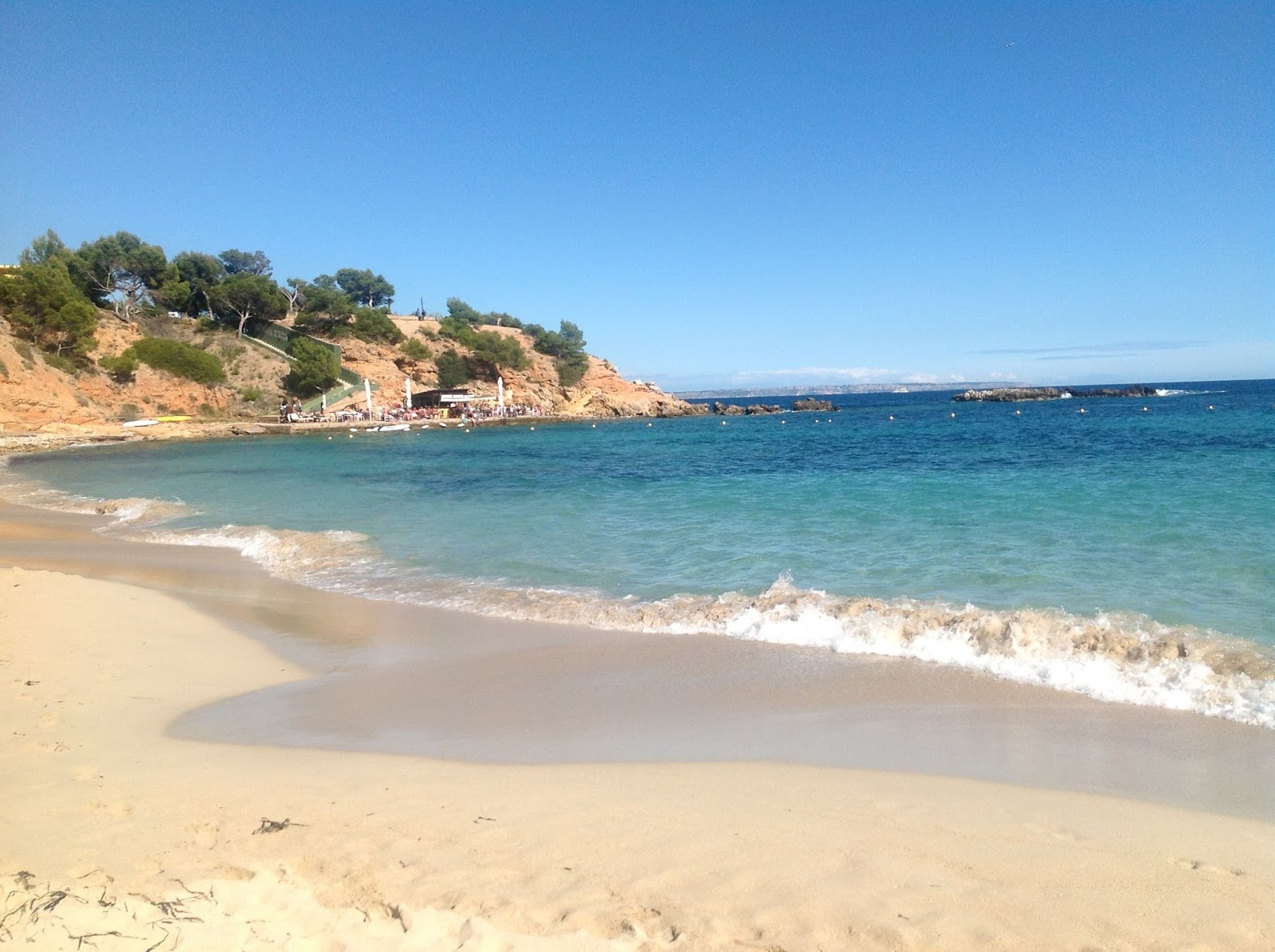 THE MALLORCA OBSERVER : Puerto Portals Beach