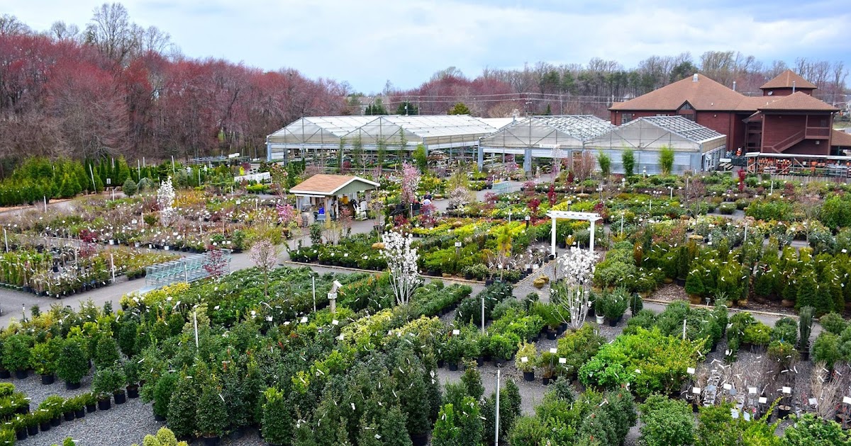 Local First Friday Merrifield Garden Center