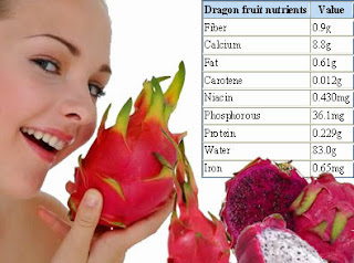 Kandungan Nutrisi Buah Naga Dragon Fruit Kandungan Nutrisi Buah Naga Dragon Fruit