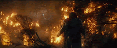 Thorin crosses flames