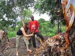 comment rencontrer mami wata