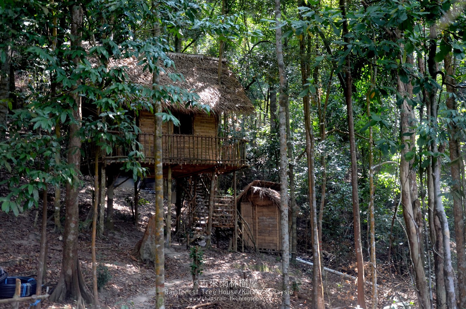 古來普萊山熱帶雨林 承載夢想的夢幻樹屋村落 Rainforest Treehouse Gunung Pulai, Kulai