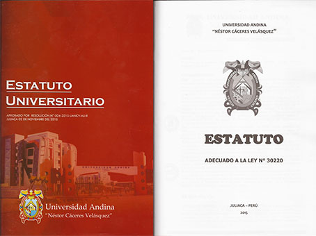 ESTATUTO UNIVERSITARIO - UANCV 2015